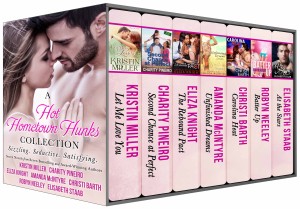 Hot Hometown Hunks Box Set